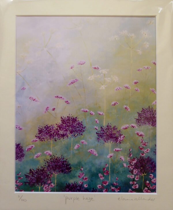 Purple Haze